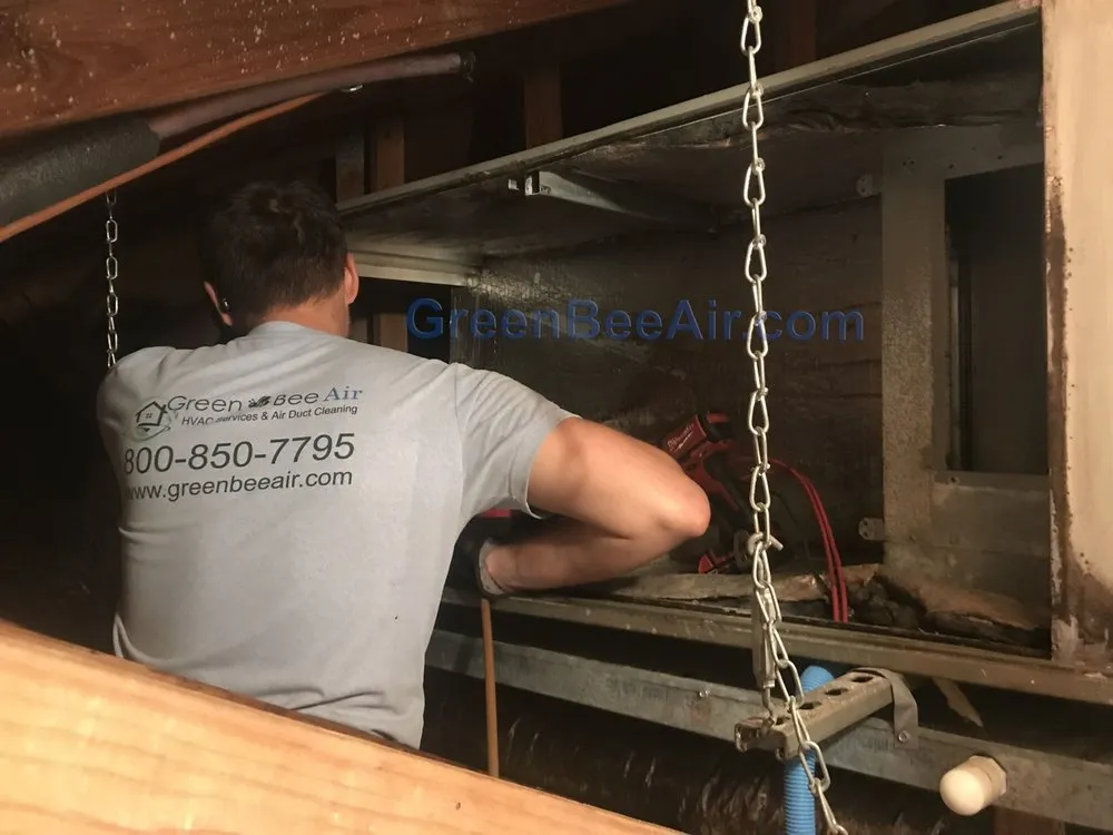 Slide of Green Bee Air