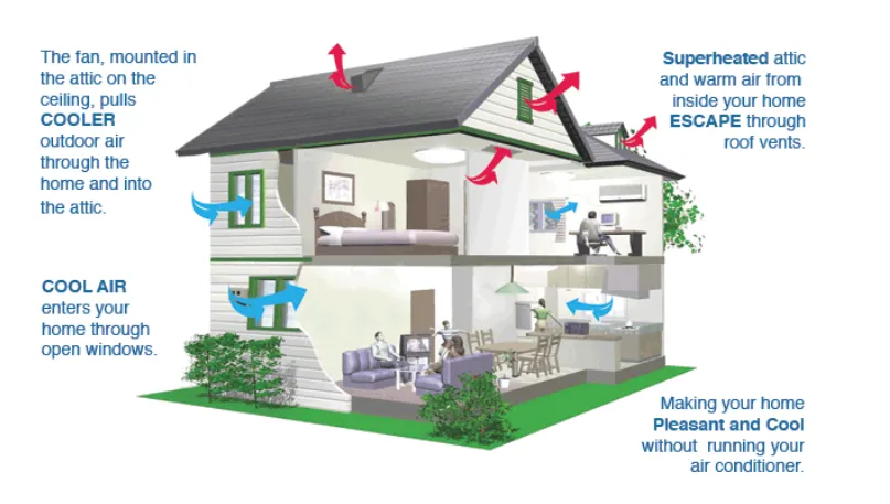 Slide of Green Breeze