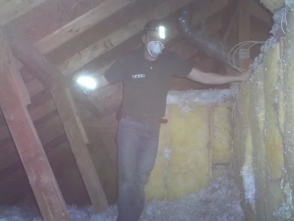 Slide of Green CAT Services