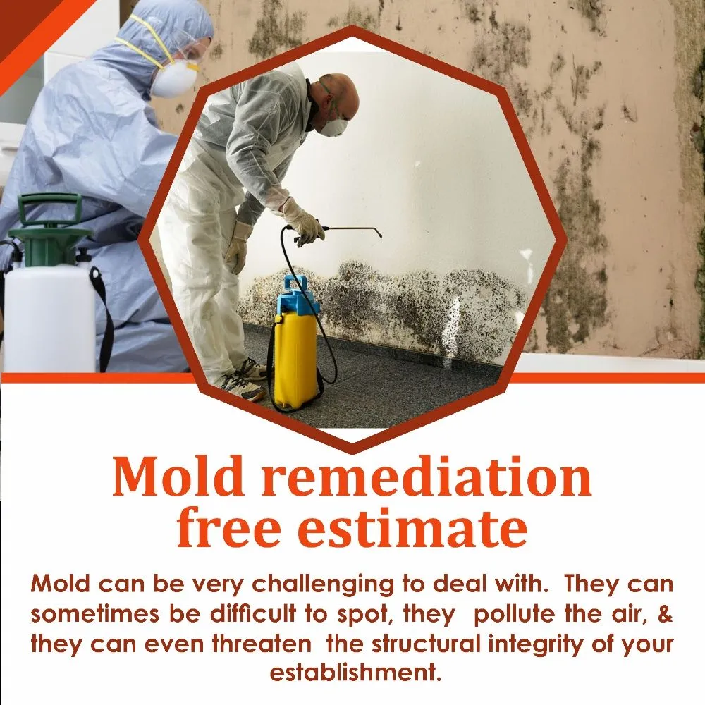 Slide of Green City Pros