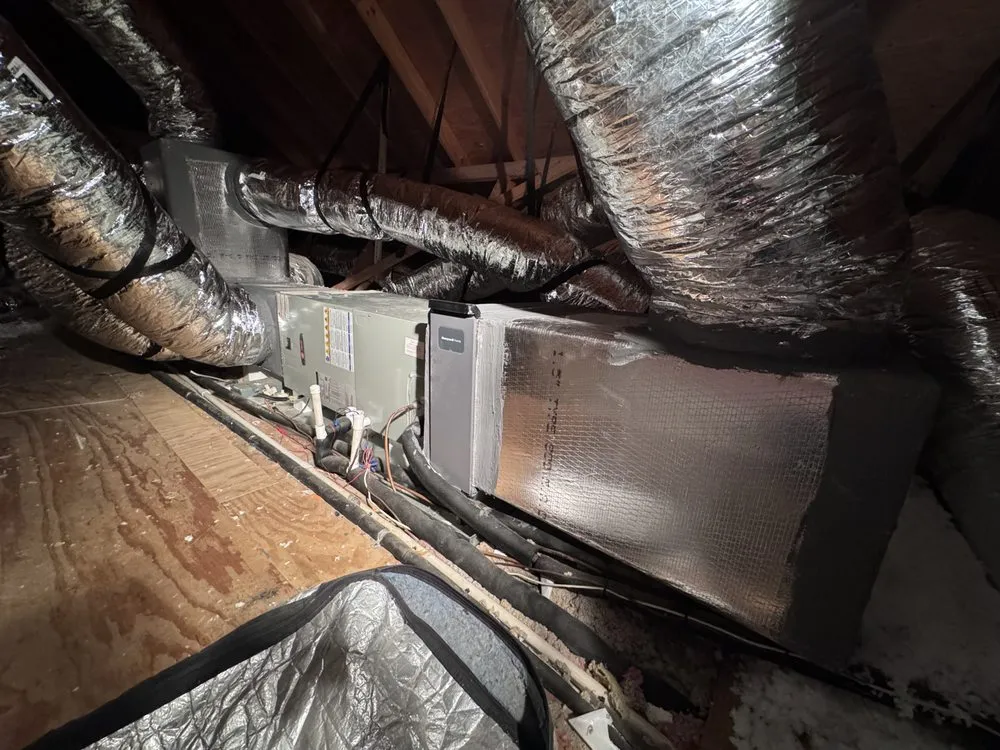 Slide of Green Collar Operations