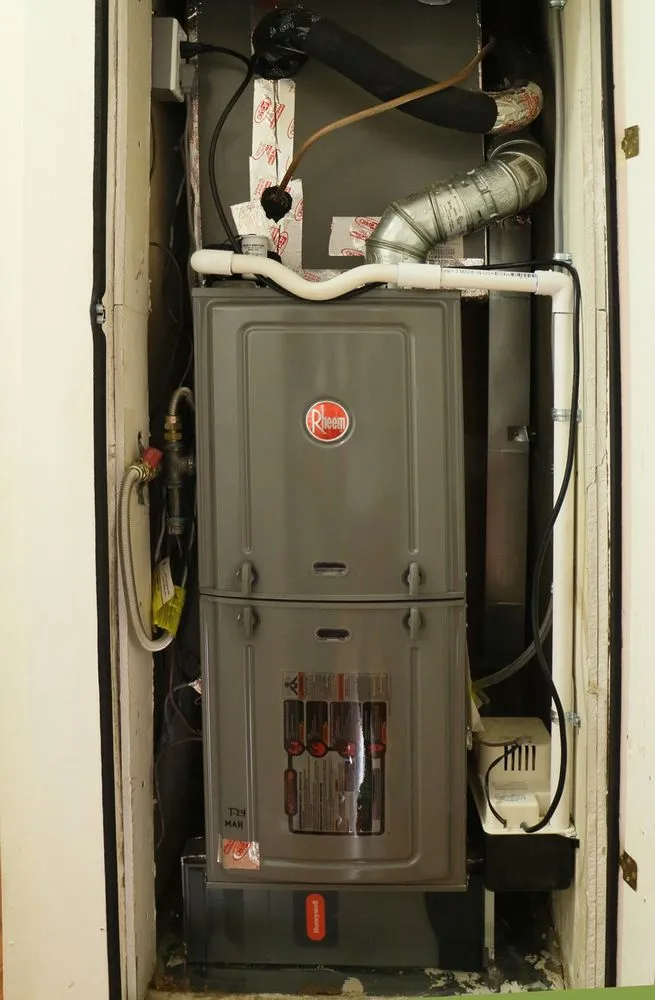 Slide of Green Comfort