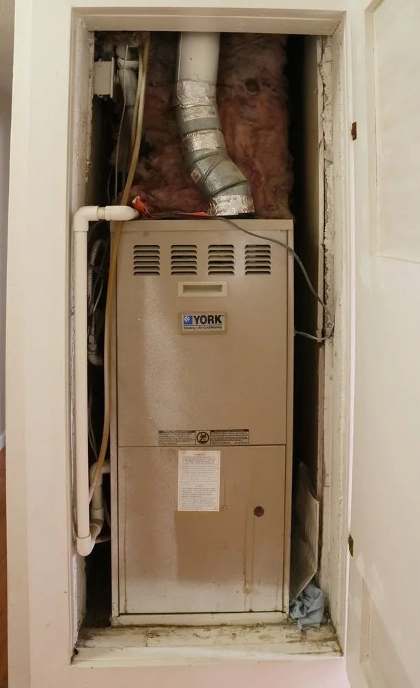 Slide of Green Comfort