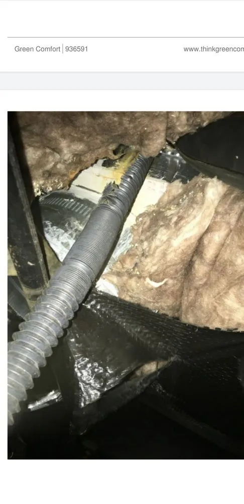 Slide of Green Comfort