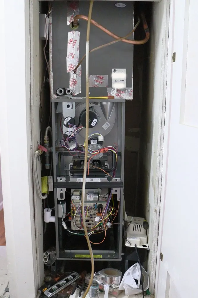 Slide of Green Comfort