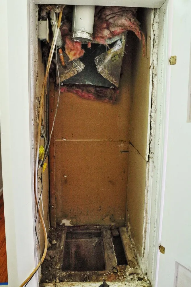 Slide of Green Comfort