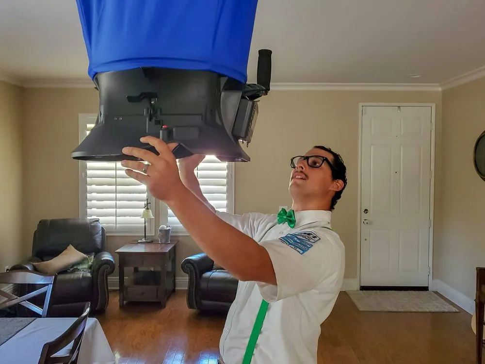 Slide of Green Comfort