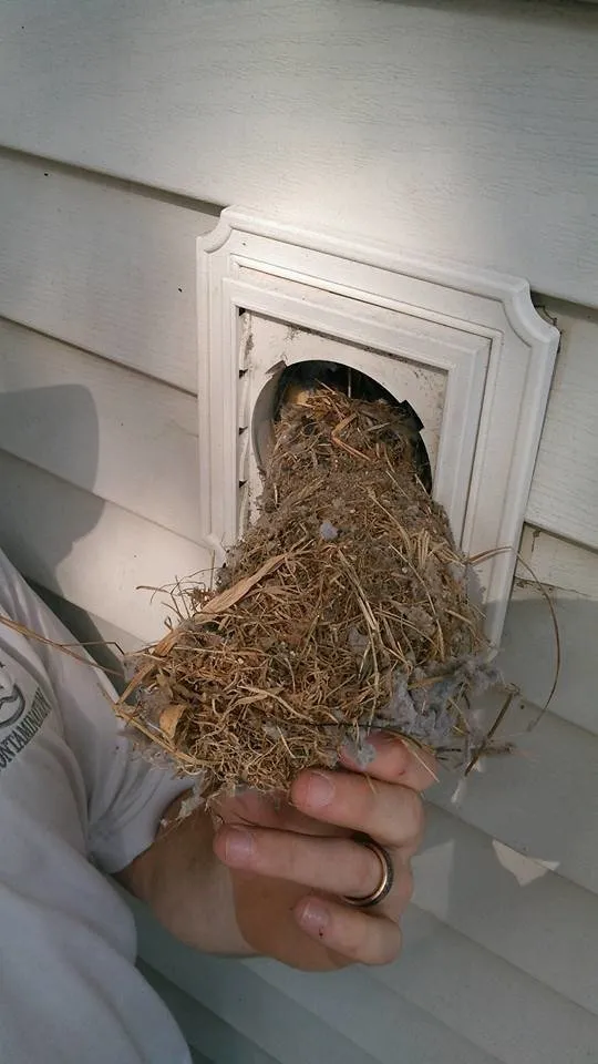 Slide of Green Duct Decontamination