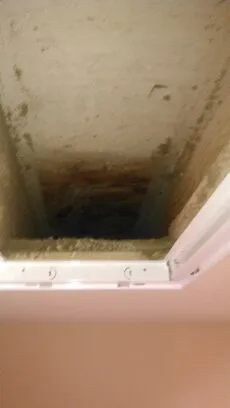 Slide of Green Duct Decontamination