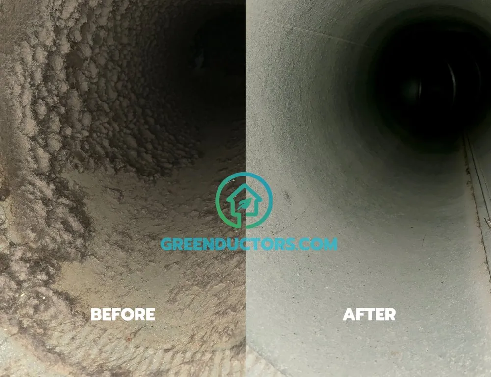 Slide of Green Ductors