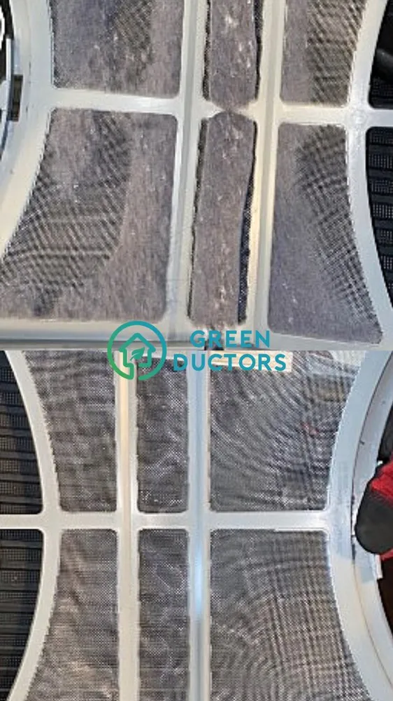 Slide of Green Ductors