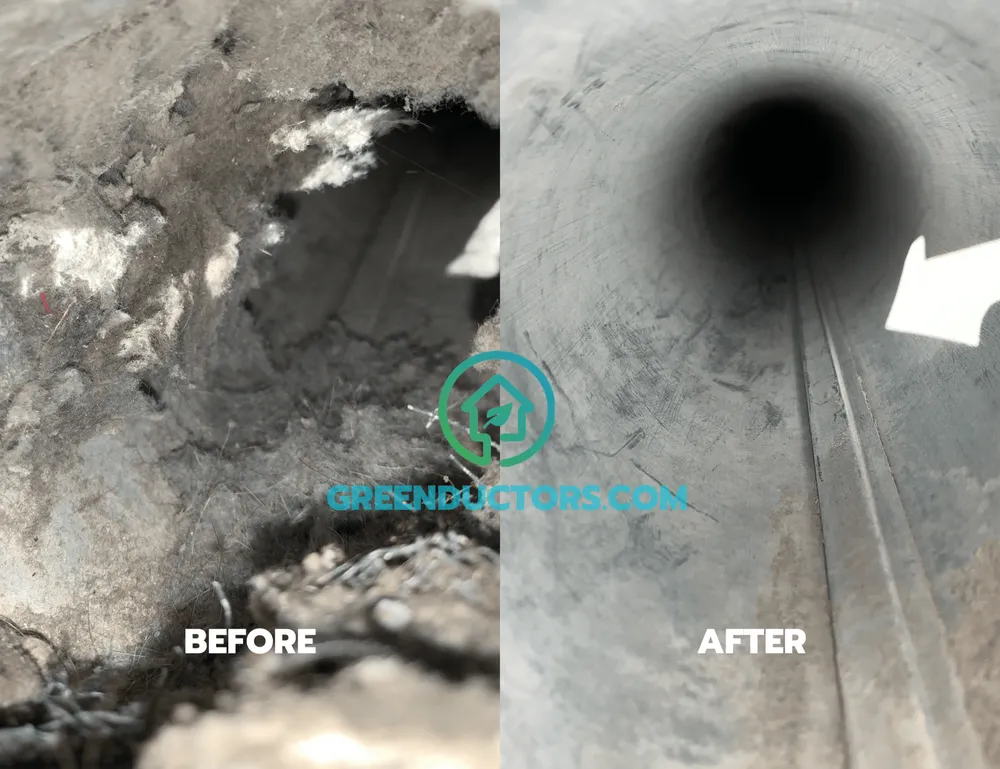 Slide of Green Ductors