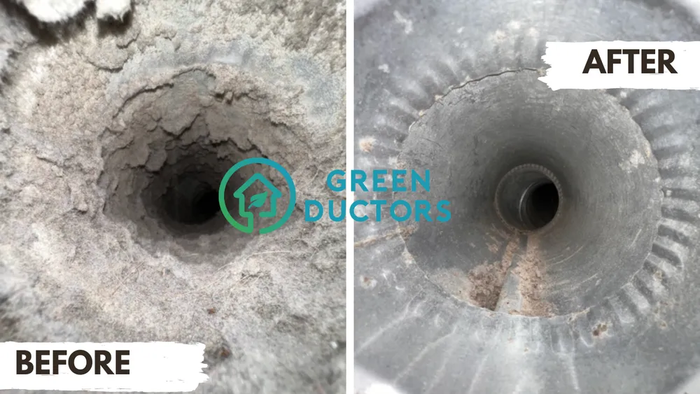 Slide of Green Ductors