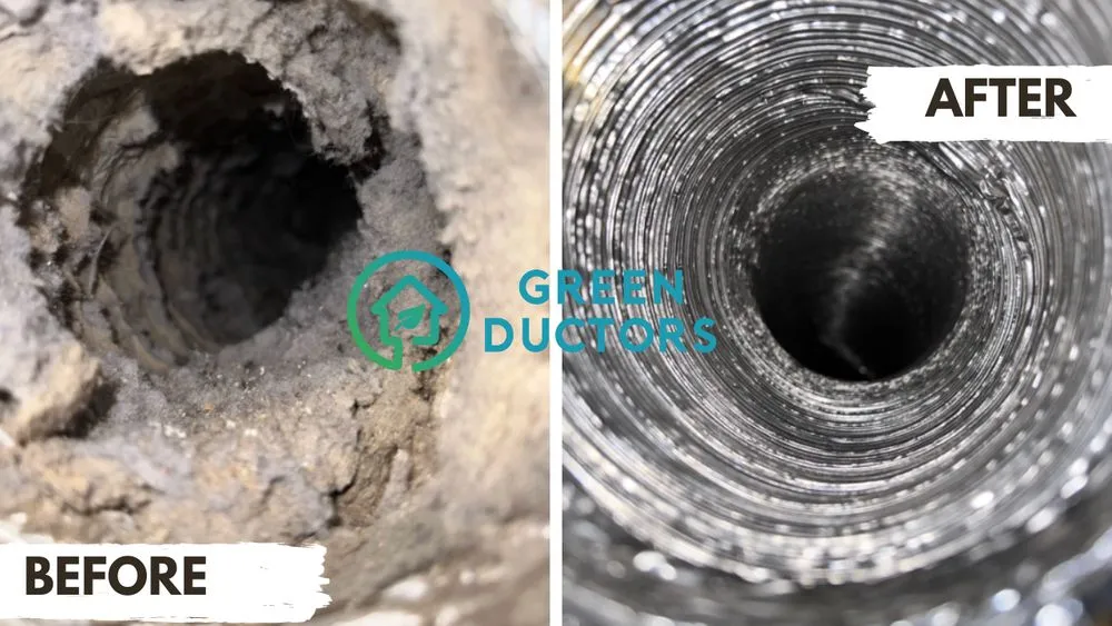 Slide of Green Ductors