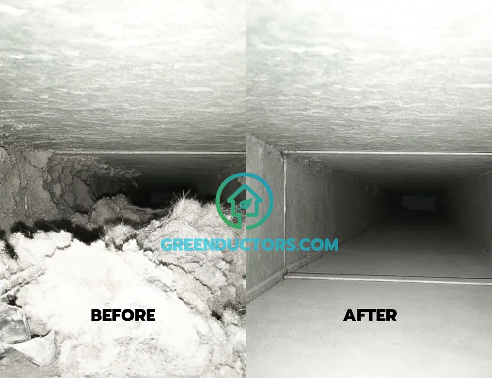 Slide of Green Ductors