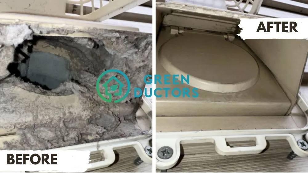 Slide of Green Ductors