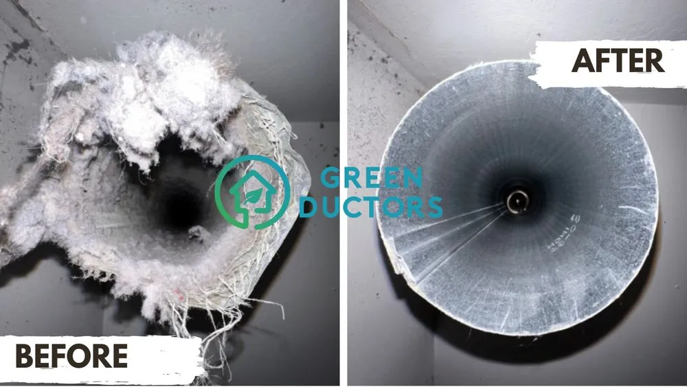 Slide of Green Ductors