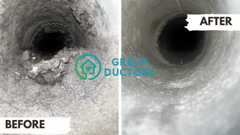 Slide of Green Ductors