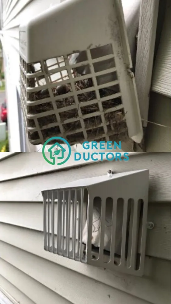 Slide of Green Ductors