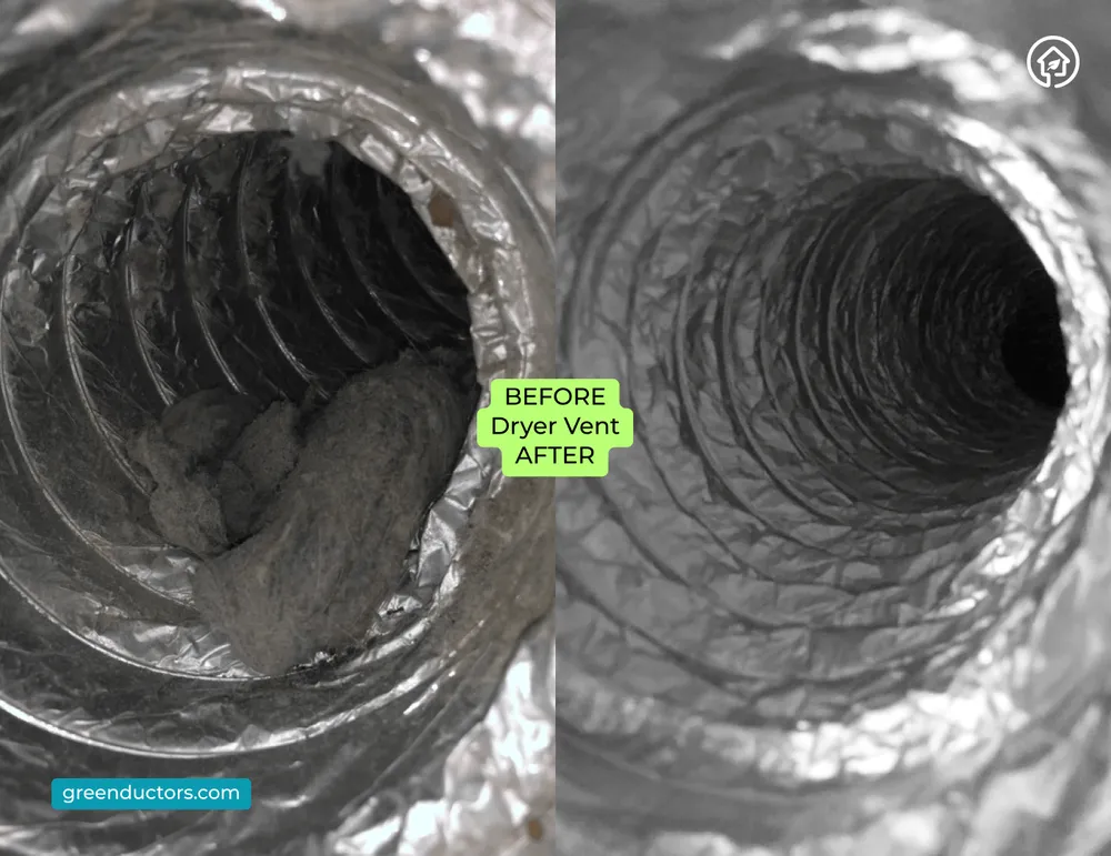 Slide of Green Ductors