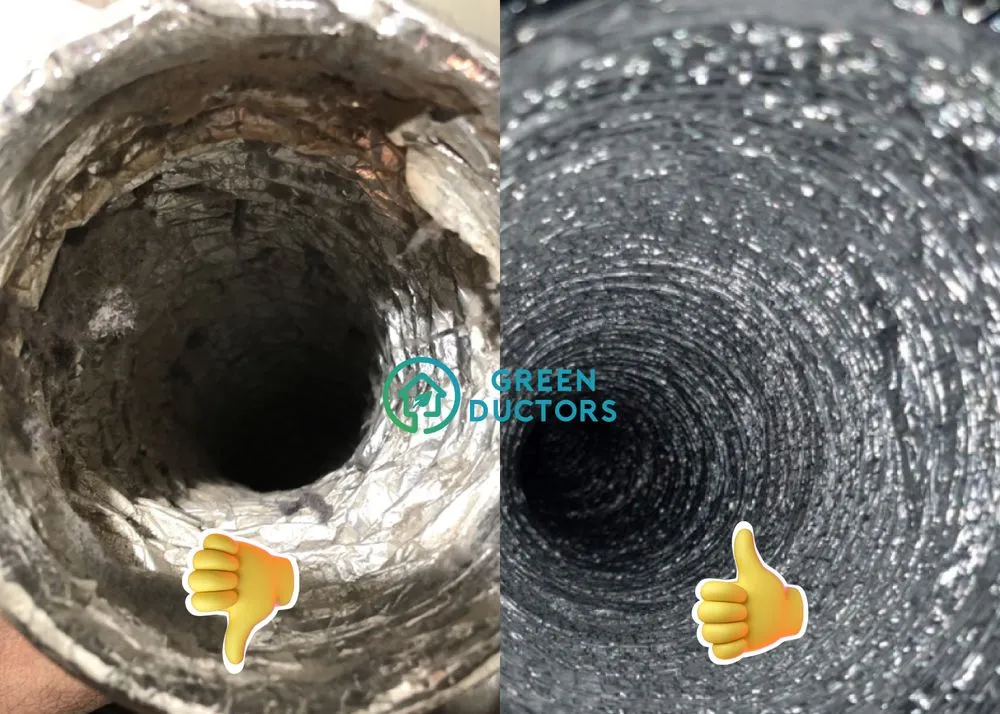 Slide of Green Ductors