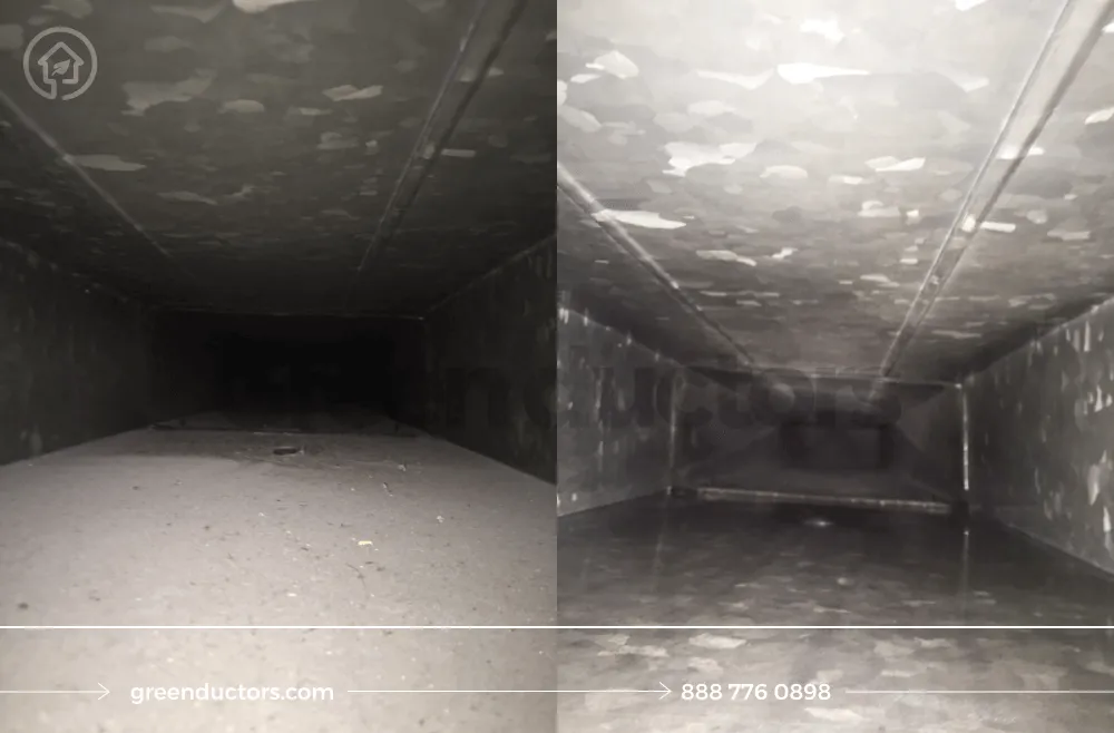 Slide of Green Ductors