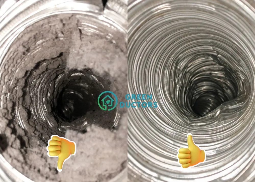 Slide of Green Ductors