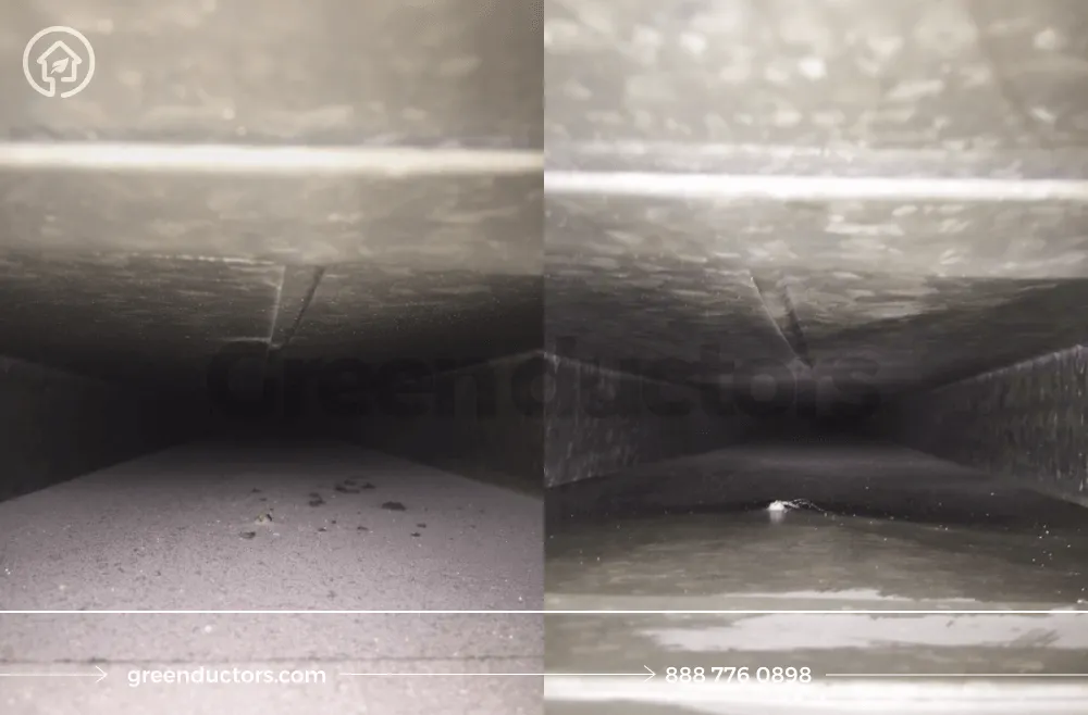 Slide of Green Ductors