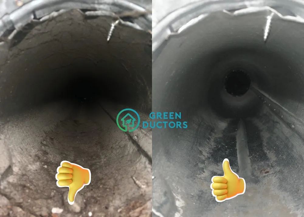 Slide of Green Ductors