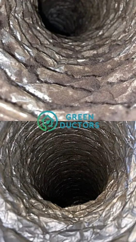 Slide of Green Ductors