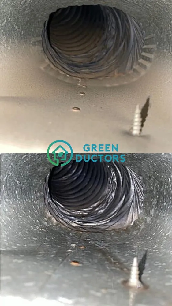 Slide of Green Ductors