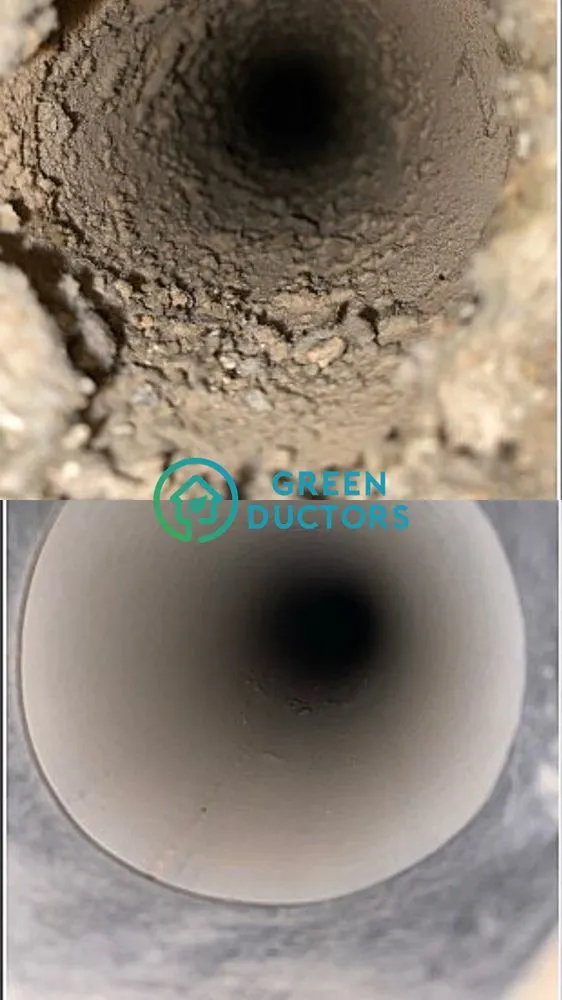 Slide of Green Ductors