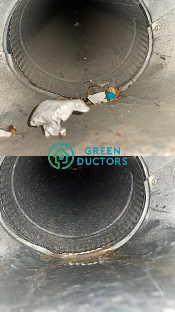 Slide of Green Ductors