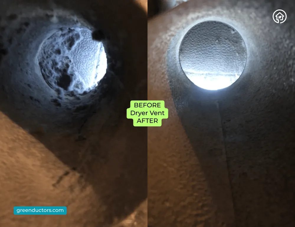 Slide of Green Ductors