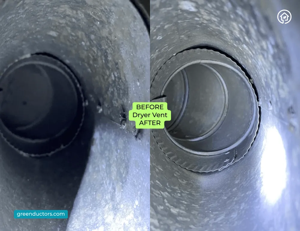 Slide of Green Ductors