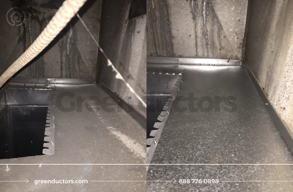 Slide of Green Ductors