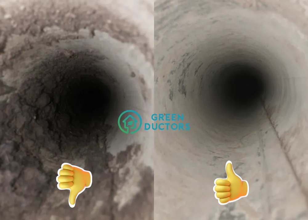 Slide of Green Ductors