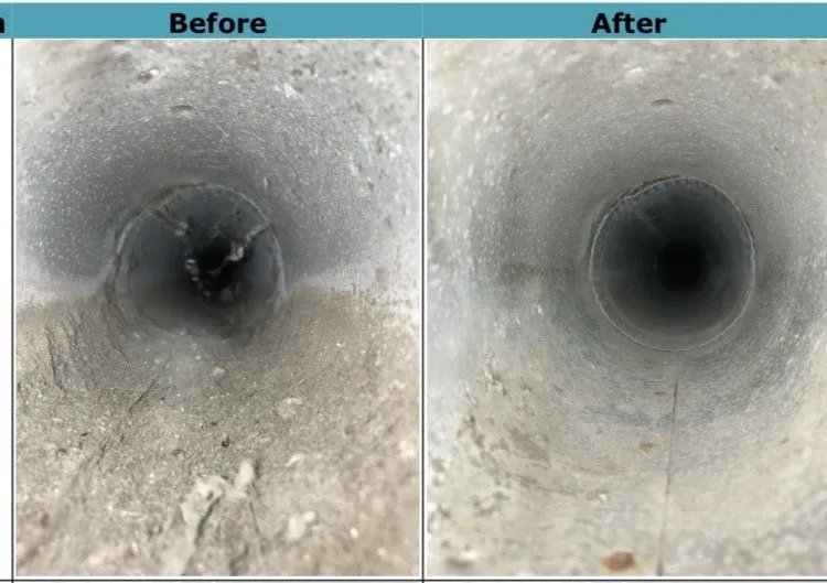 Slide of Green Ductors