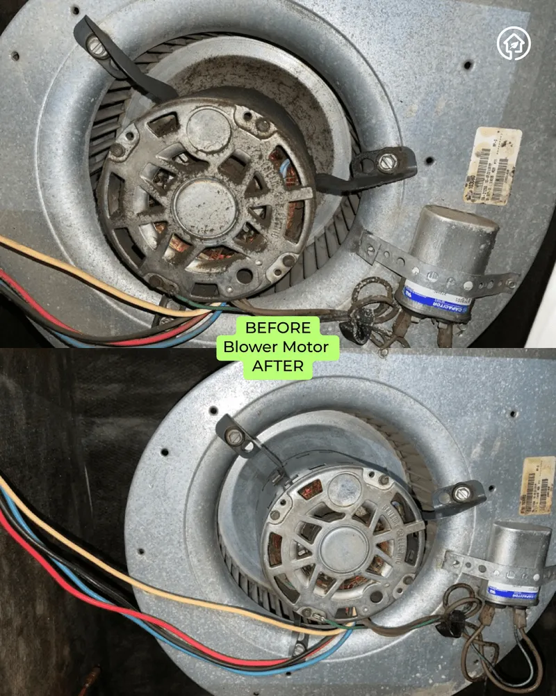 Slide of Green Ductors