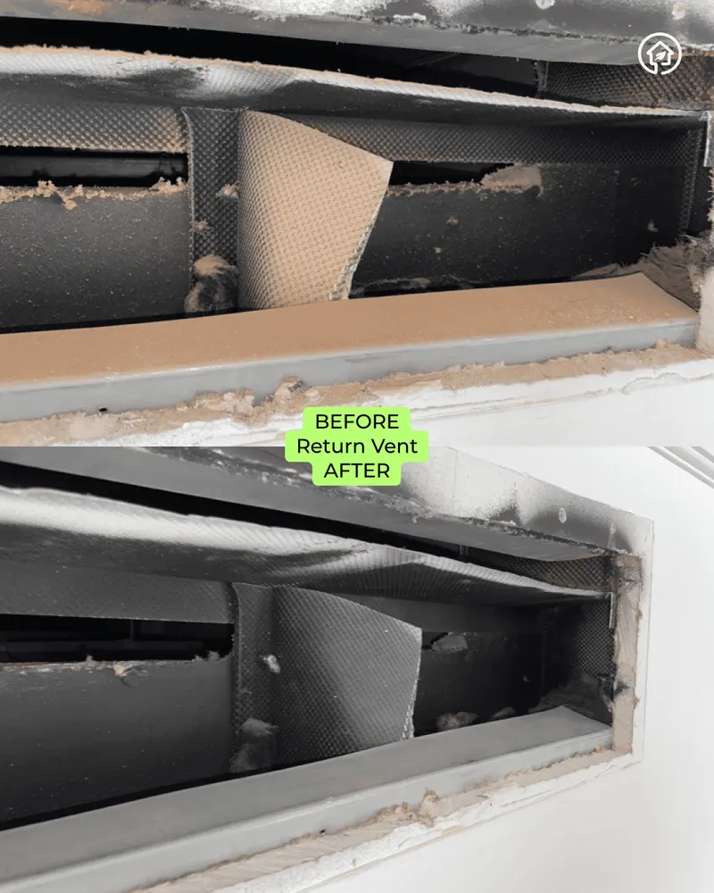 Slide of Green Ductors