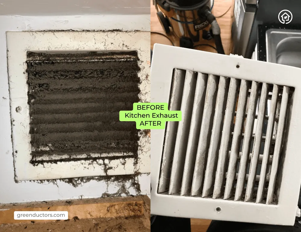 Slide of Green Ductors