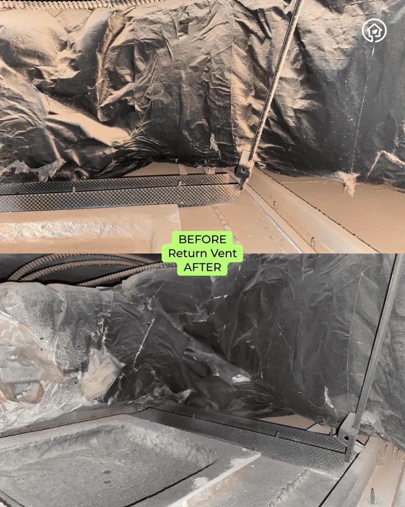 Slide of Green Ductors