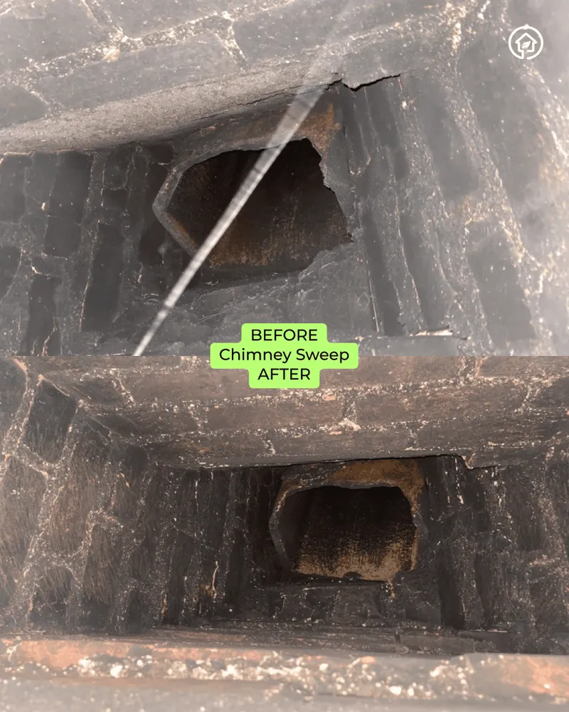 Slide of Green Ductors