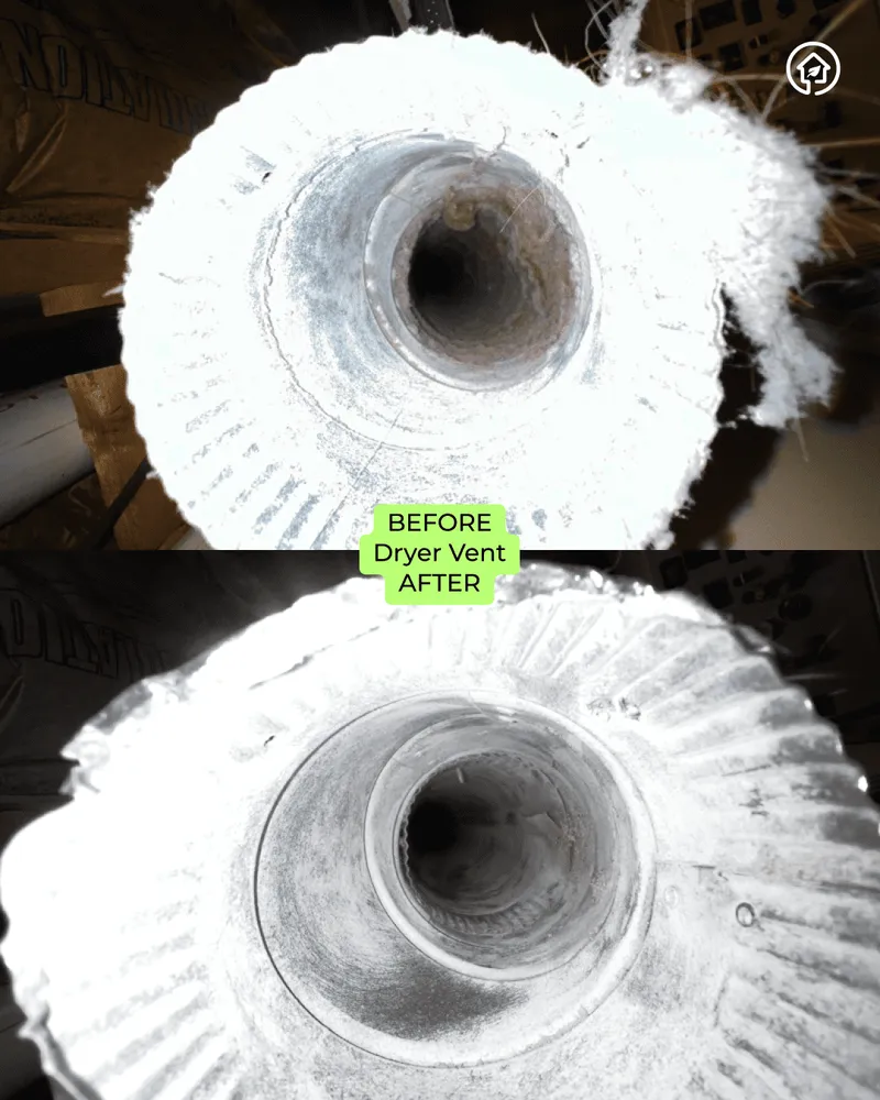 Slide of Green Ductors