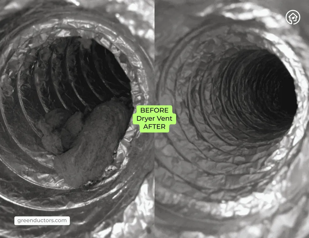 Slide of Green Ductors