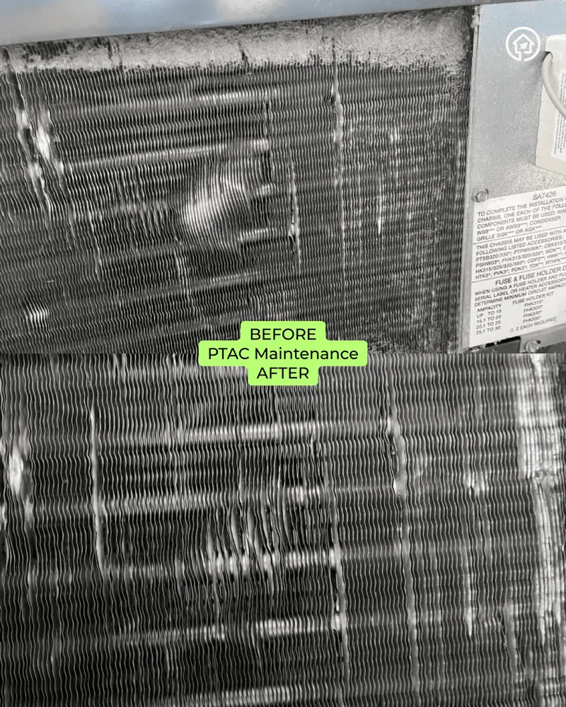 Slide of Green Ductors