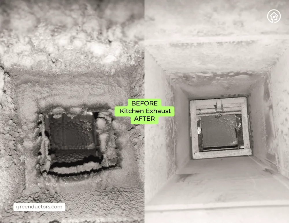 Slide of Green Ductors