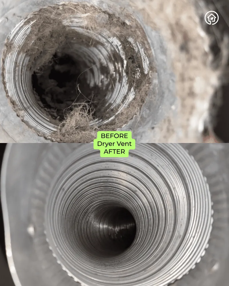 Slide of Green Ductors