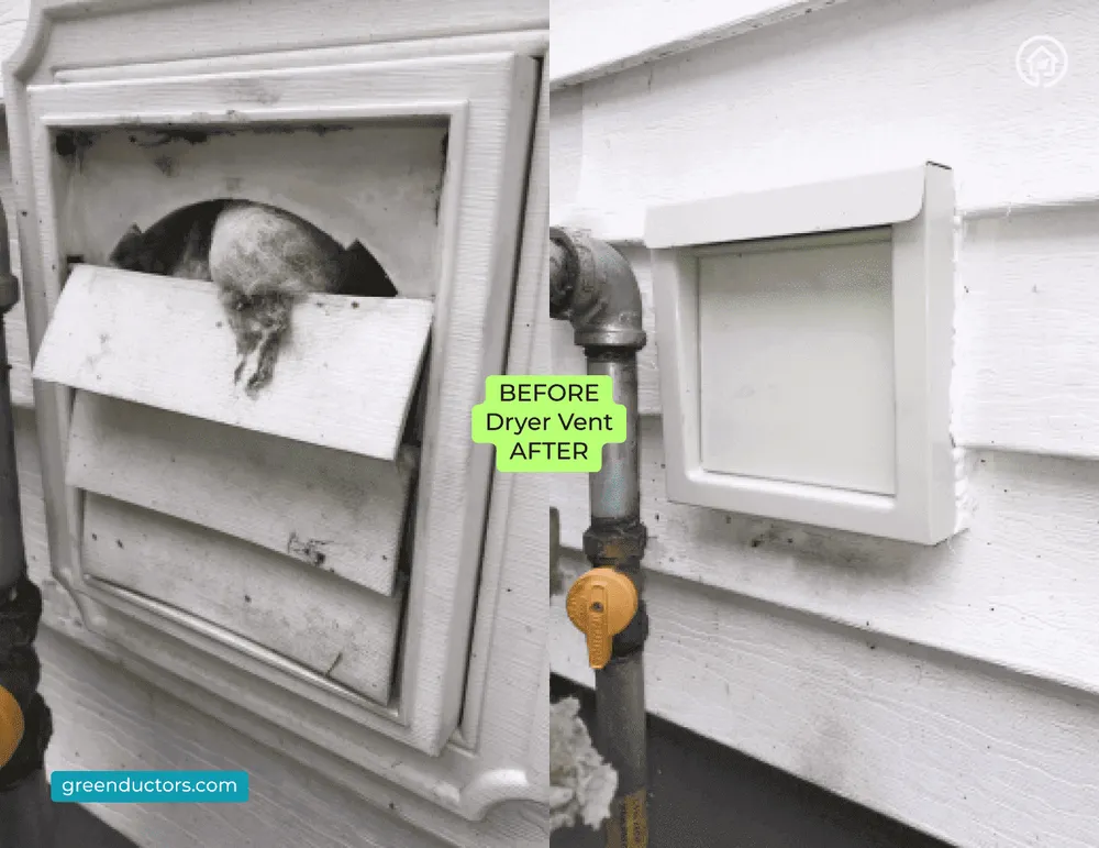 Slide of Green Ductors