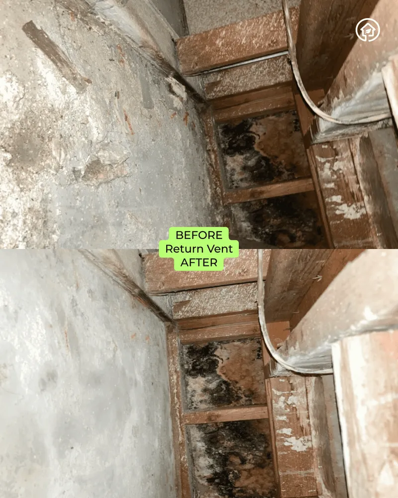 Slide of Green Ductors